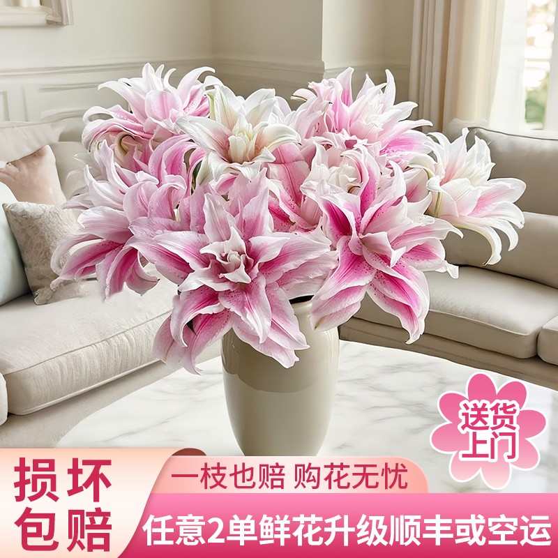 黄梦宇 伊莎贝拉重瓣百合花全场鲜花任意满两单及以上送货上门