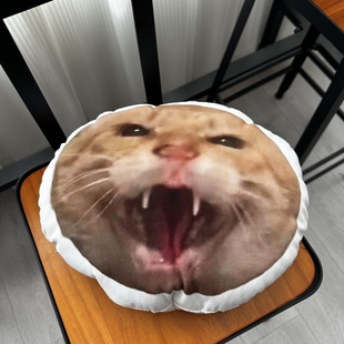 耄耋抱枕圆头馒头抱枕搞怪猫解压生日礼物送朋友闺蜜家居创意玩偶