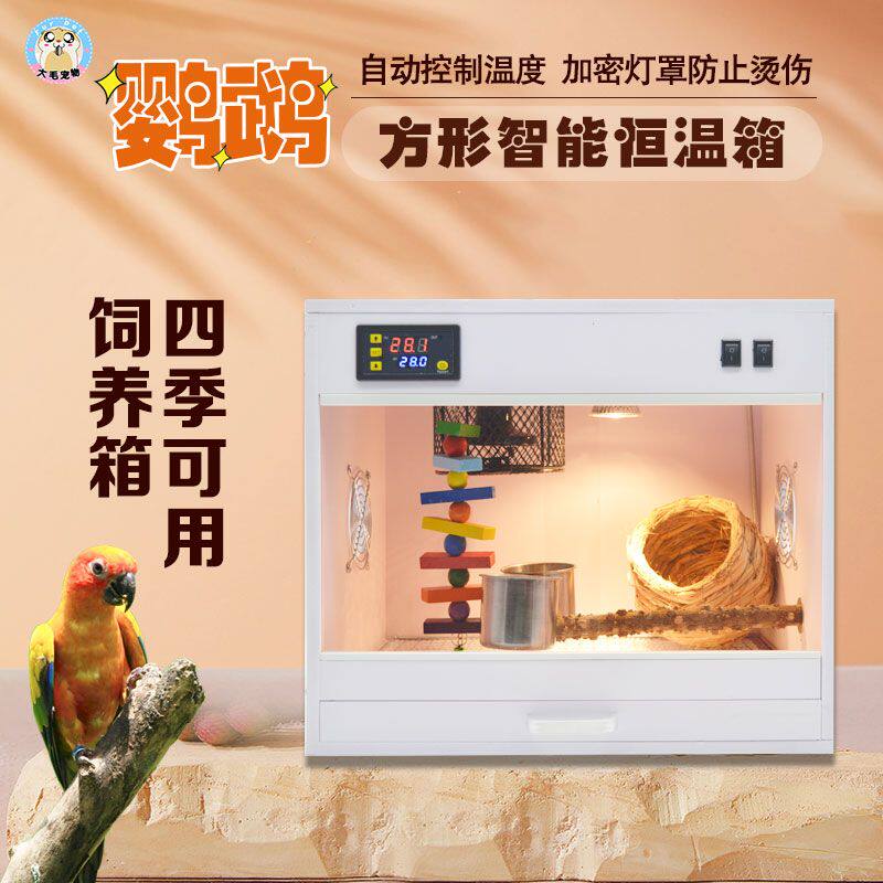 保温箱鹦鹉专用保温箱手养幼鸟育雏箱牡丹玄凤芦丁鸡宠物加热恒温