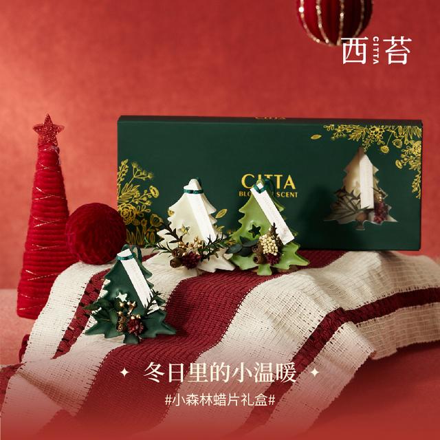 CITTA/西苔小森林香薰蜡片 圣诞氛围家用卧室衣柜永生花干花挂片