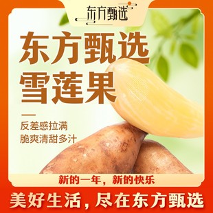 东方甄选自营雪莲果清甜爽脆皮薄多汁新鲜应季 水果坏果包赔顺丰