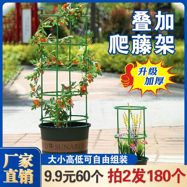 【超值60个 10层随意组合！】自由拼接花架支架支撑圈防倒伏爬藤