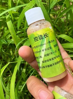 太阳花控旺矮化控型促进枝条发芽分化（植物通用型）