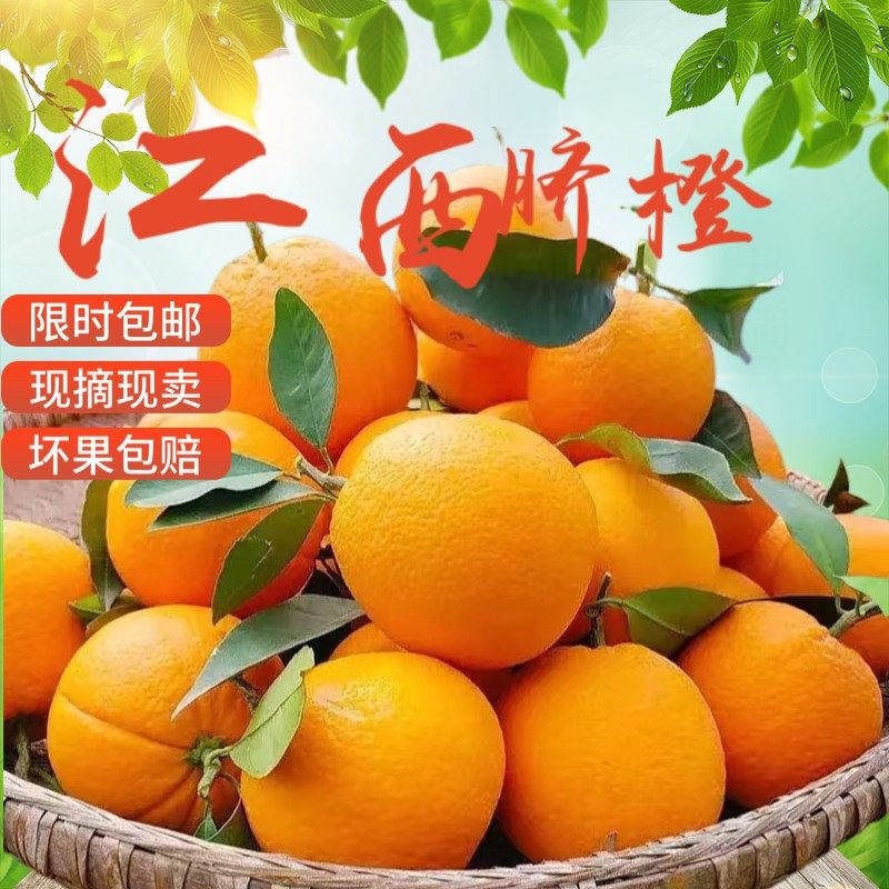 正宗江西橙新鲜橙子冰糖橙甜橙整箱爆汁榨汁农家自种水果现摘现发,水产肉类/新鲜蔬果/熟食,橙,淘宝优惠券,粉丝福利购,淘宝优惠卷