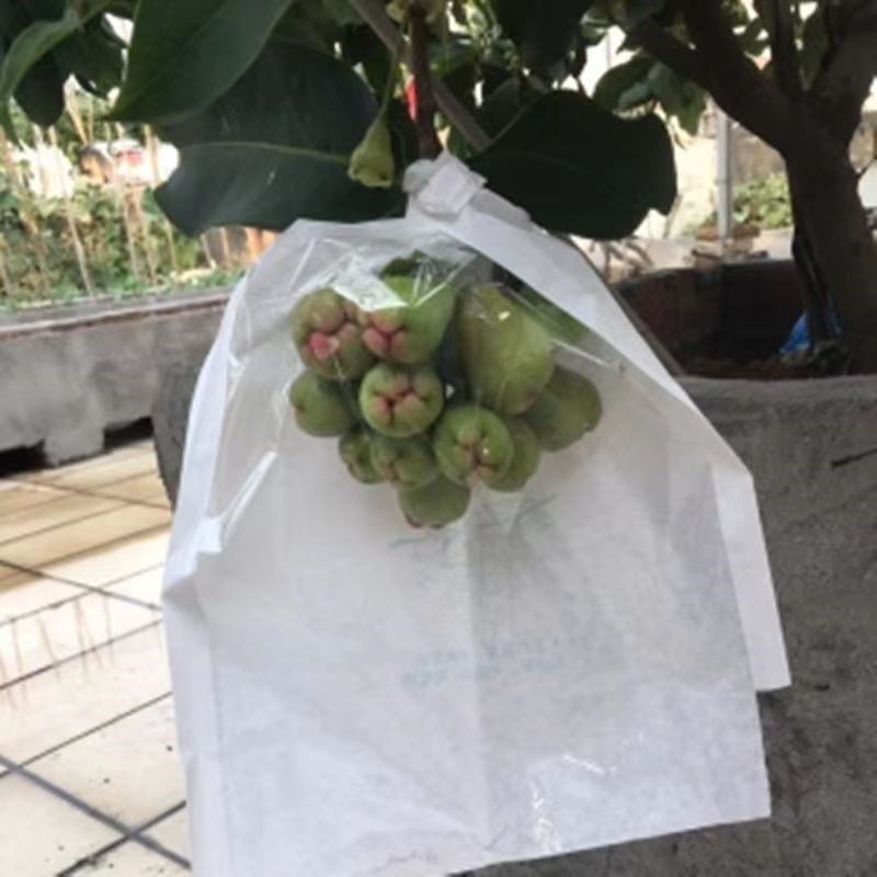 莲雾套袋专用袋洋浦桃日光袋荔枝龙眼防水袋防虫半透明套袋侧开窗,农机/农具/农膜,水果套袋/果袋,淘宝优惠券,粉丝福利购,淘宝优惠卷
