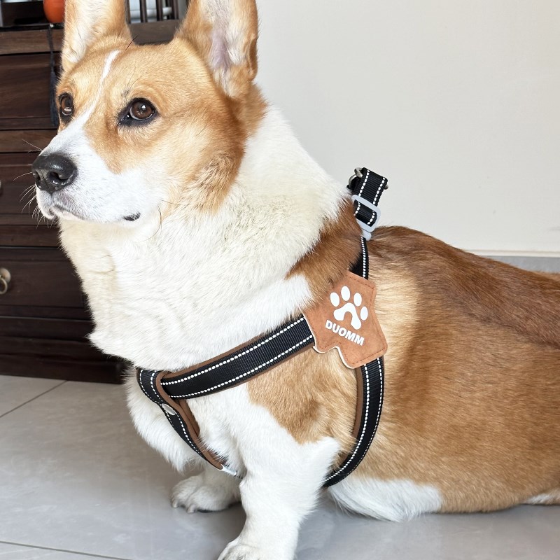 狗狗牵引绳背心式遛狗绳子泰迪法斗柯基中型小型犬宠物用品胸背带