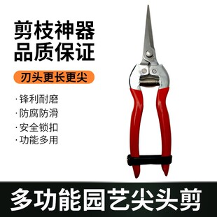 农夫乐尖头剪叶芽剪摘果剪采果剪果树剪精修剪园艺剪刀(包邮)