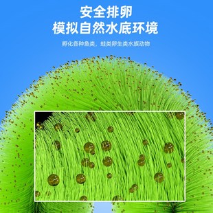 孵化草孵化毛刷锦鲤产卵草 鱼卵孵化刷金鱼繁殖水产养殖鱼巢