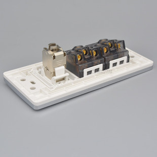 118型三位超六类网络带十孔电源插座屏蔽千兆电脑网线口+10孔面板