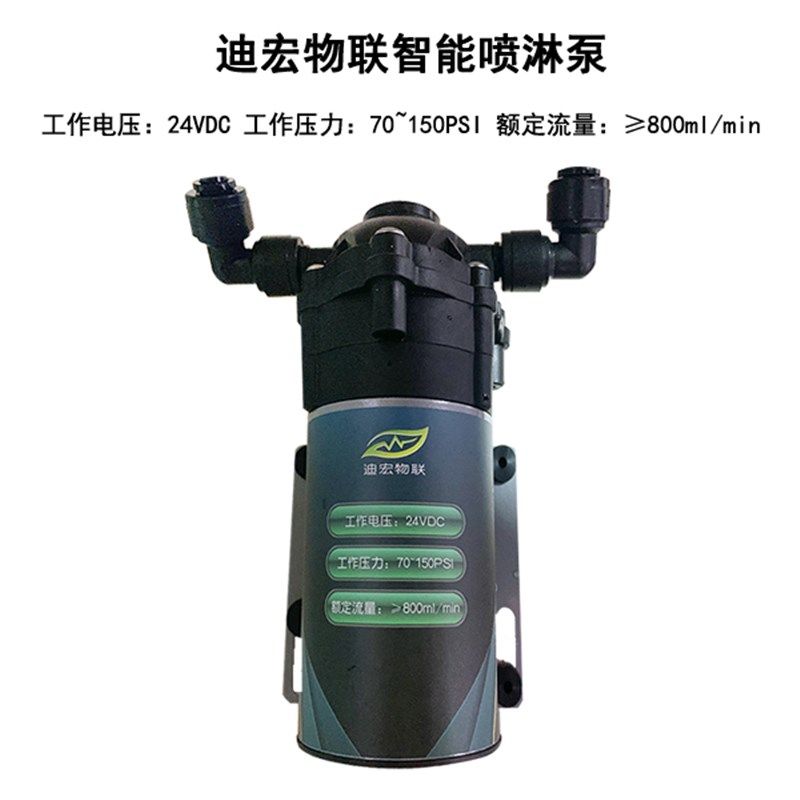 雨林缸雨淋缸生态造景缸热带雨林植物蜥蜴爬宠爬虫守宫饲养箱