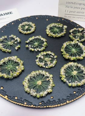 放射伞形大花葱种荚压花 独特圆形干花 押花画滴胶摆件填充花材