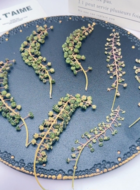 商陆果穗压花标本绿色扁果干花穗天然植物DIY滴胶耳环压花材料