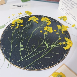 春日油菜花压花带枝原色干花手作书签贺卡香薰蜡烛幼儿园手工花材