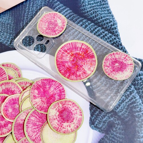 心里美萝卜切片水果蔬菜标本手工压花创意手工滴胶手机壳材料配件