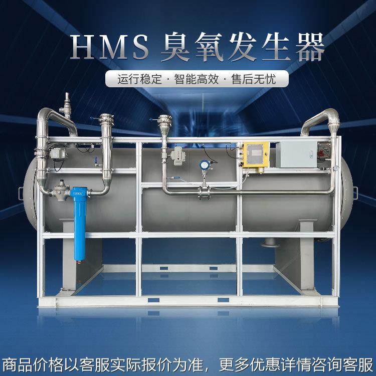 大型工业级臭氧发生器市政污水厂自来水厂杀菌消毒设备源头厂家