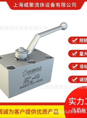 意大利盖姆斯Gemels高压球阀GPK2-3/8-DN10-PN500-1111AB原装进口