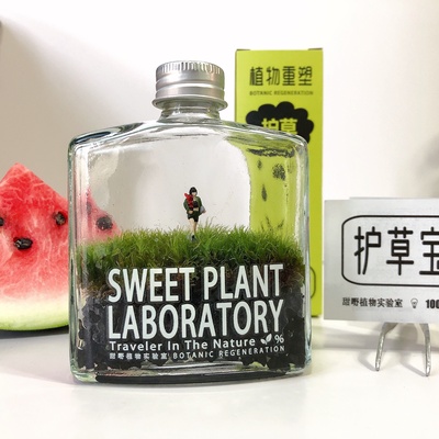 苔藓威士忌微景观摆件苔藓瓶子室内桌面创意绿植物生态瓶生日礼物