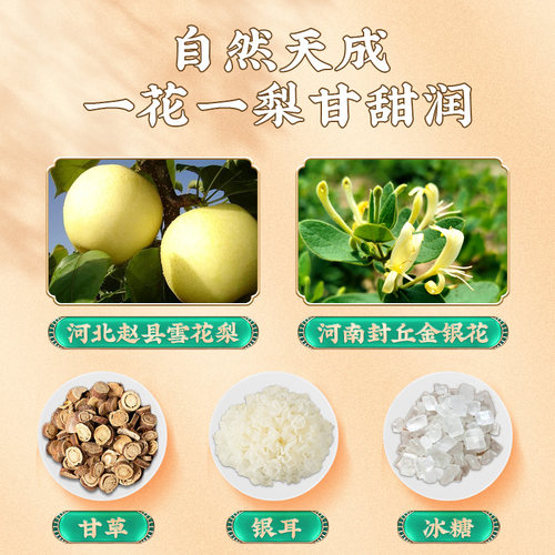 固本堂金银花炖梨年货礼盒过节礼品装送礼走亲戚送父母长辈见家长