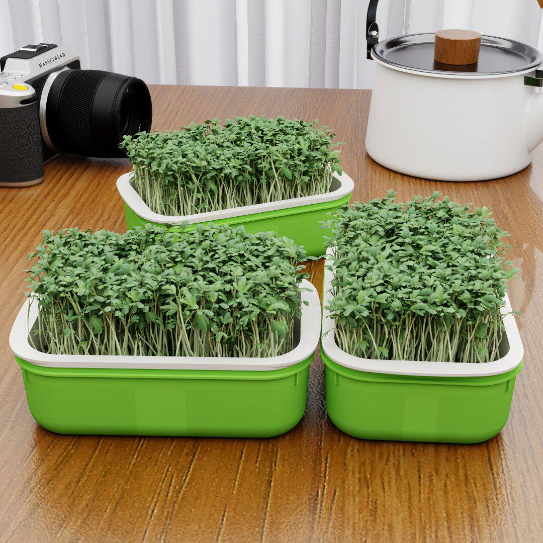 豆芽发芽盆豆苗豌豆苗育苗盘种植盘芽苗菜水培蔬菜设备芽菜育苗盒