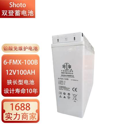 双登蓄电池前置端子狭长型6-FMX-100B/12V100AH/150H/200AH直流屏