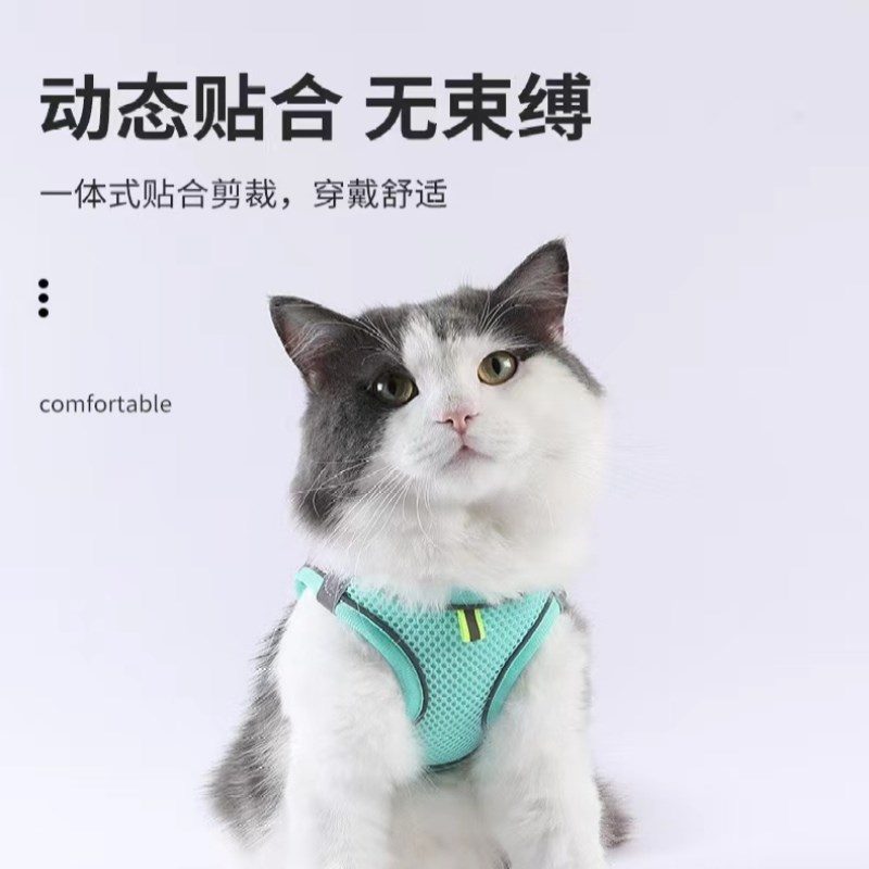 猫咪牵引绳防挣脱专用猫绳小型犬胸背带绳子幼猫绳宠物牵狗绳遛狗
