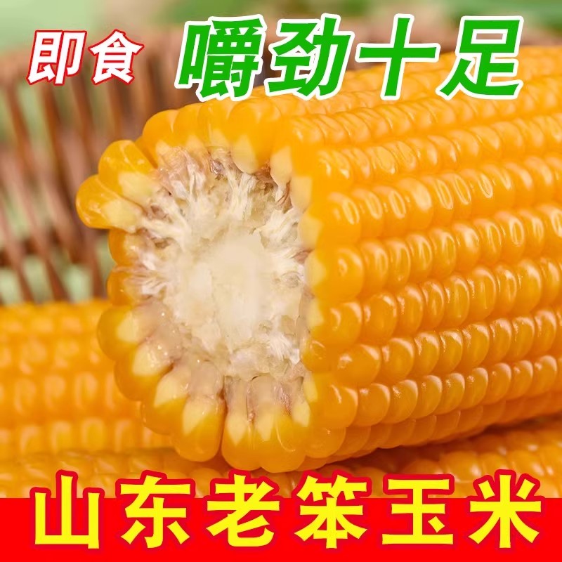 真空传统老式笨玉米即食10根