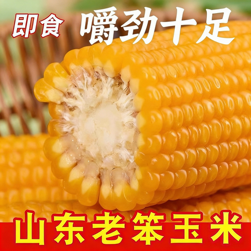 真空传统老式笨玉米即食10根