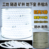 禹鼎F21 E1B无线遥控器带急停按钮适用起重机天车电动葫芦