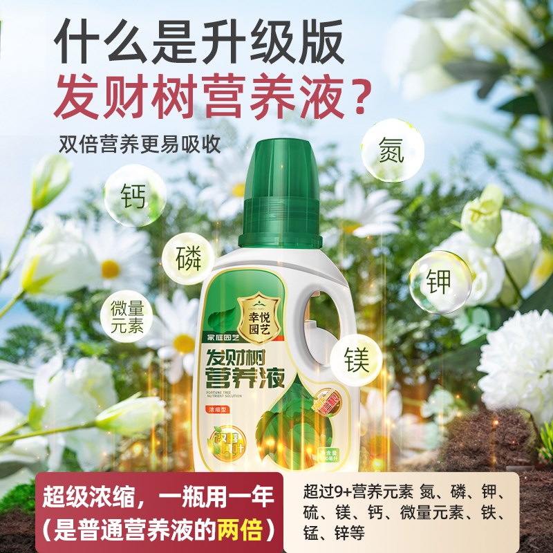 发财树营养液肥料专用肥治叶子发黄掉叶烂根室内盆栽植物花肥通用