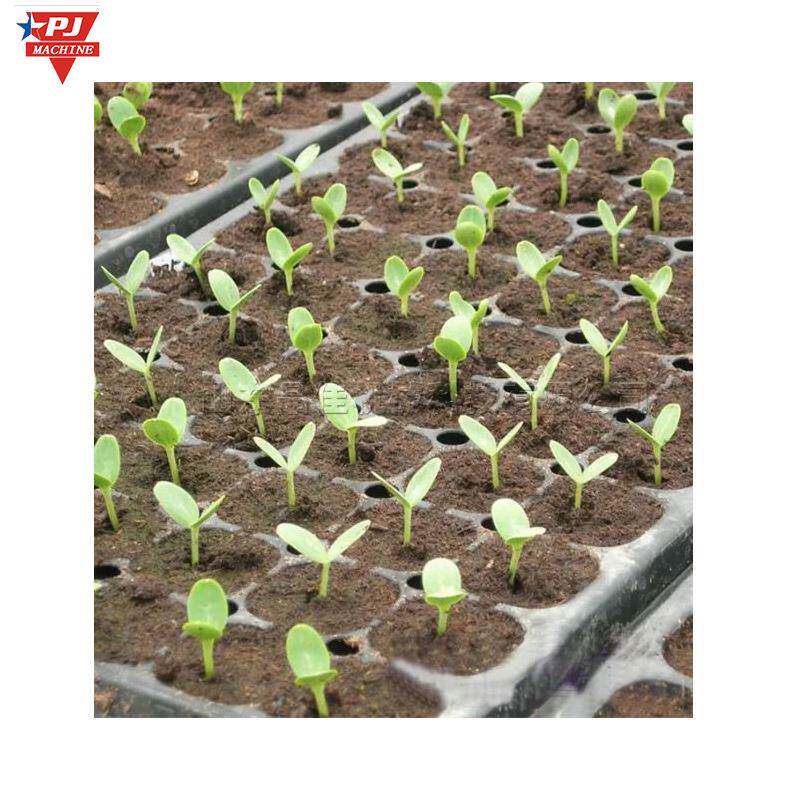 辣椒苗蔬菜穴穴盘育机 农用卉用盘播花种NNR机 不锈钢作物种子种