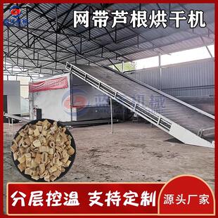 网带芦根烘干机 大型芦苇根苇子根哄干机 芦苇茎芦茅根药材干燥机