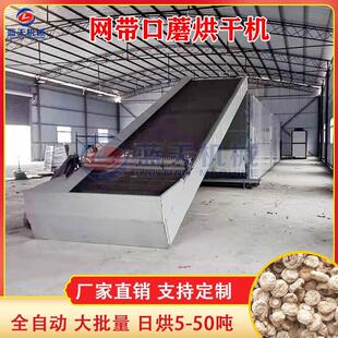 口蘑烘干机 大型蒙古口蘑云盘蘑银盘干燥机 全自动白蘑菇烘干设备