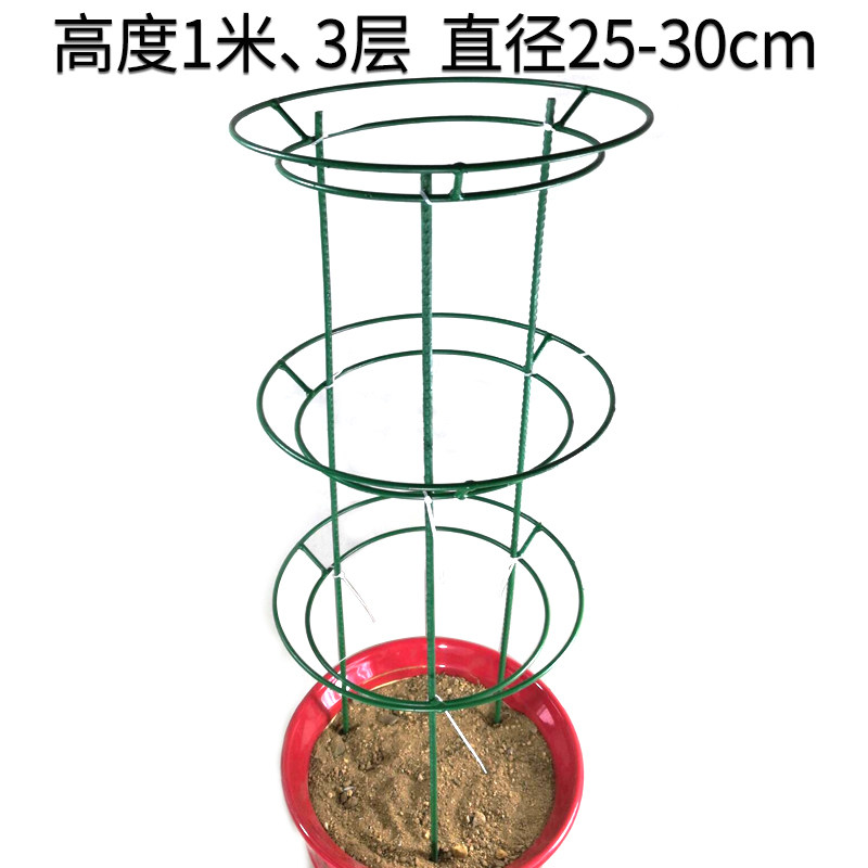 蟹爪兰仙人掌嫁接球兰花架支架攀爬园艺固定架支撑架多层支架组装图片