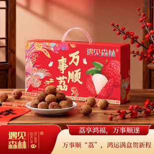遇见森林高端坚果礼盒荔枝干万事顺荔春节过年送礼干果公司团购