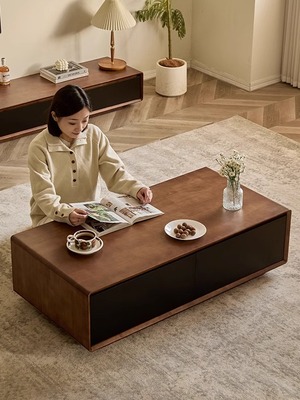 实木家庭茶几客厅2025新的可访问的豪华经典斯堪的纳维亚小公寓胡