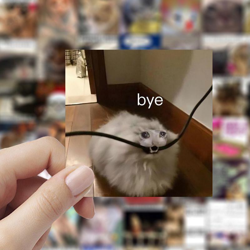 177张猫meme梗图贴纸搞笑猫咪创意趣味表情包沙雕精神状态DIY贴画