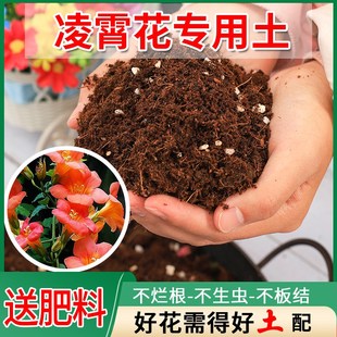 凌霄专用土营养土种树有机土花卉泥炭腐殖植料养花通用型营养肥土