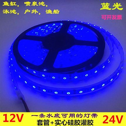 LED灯带12V蓝光5050高亮灌胶防水24V蓝色灯条鱼缸喷泉泳池水底用