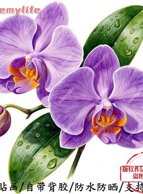 紫色兰花无背景中式自粘贴纸室内