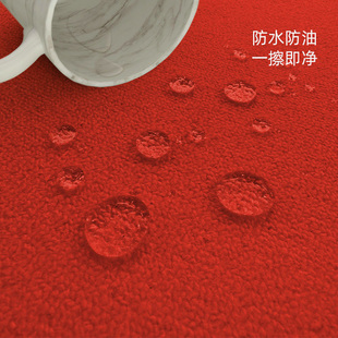 龙年入户进门地垫喜庆脚垫过年家用防滑地毯新年门口高级感门前垫