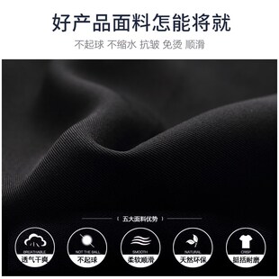 女职业直筒高腰2024新款 九分西装 春秋工作正装 子黑色夏季 裤 西裤