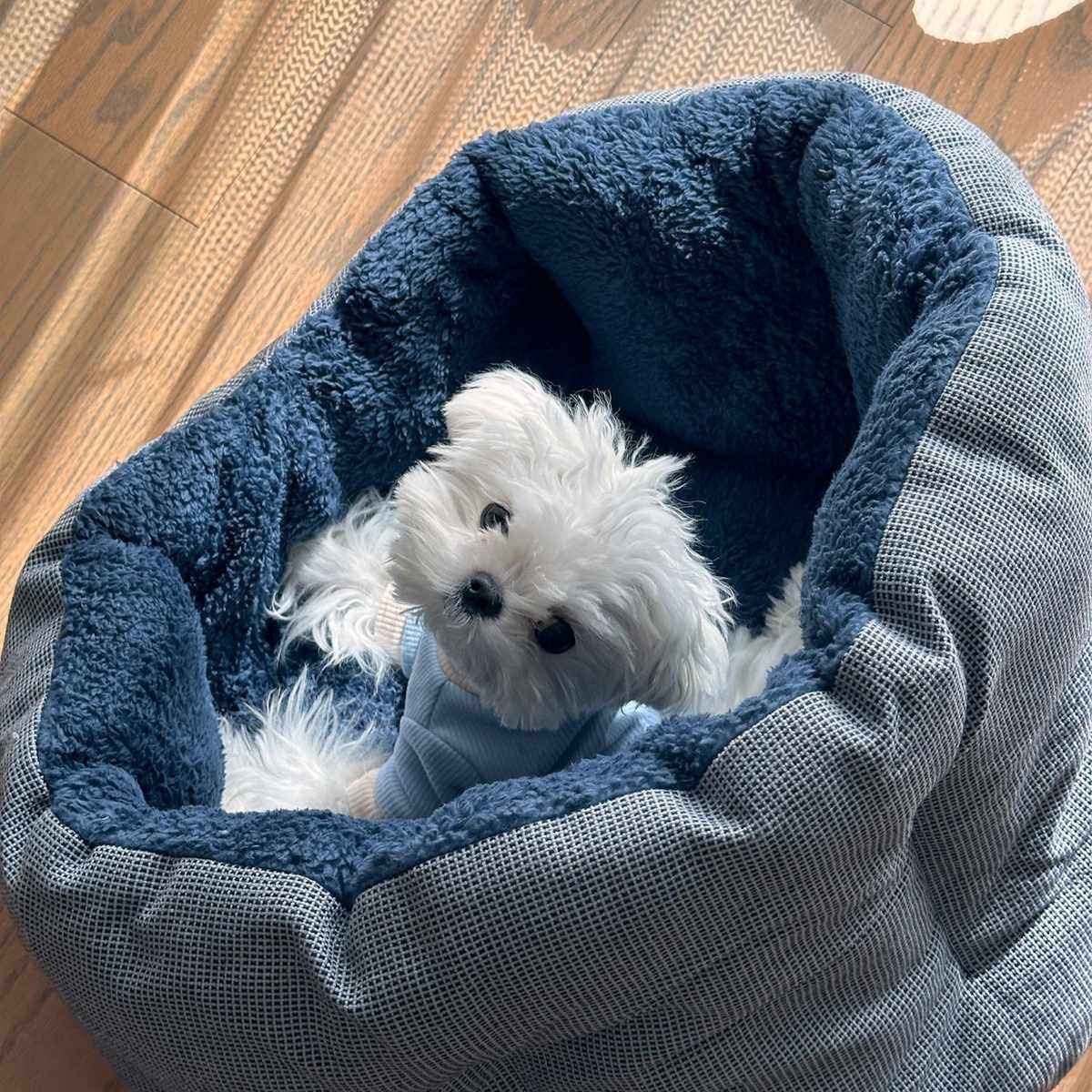 包围式宠物窝保暖厚实耐脏冬季狗窝猫窝帐篷狗房子窝垫加绒加厚,宠物/宠物食品及用品,狗窝/屋/帐篷/沙发,淘宝优惠券,粉丝福利购,淘宝优惠卷