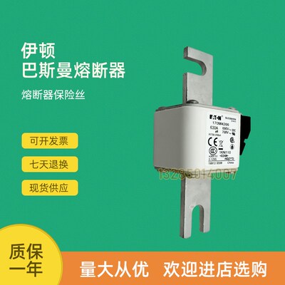全新快速熔断器保险170M4202 170MB4203 170M4204 170M4208
