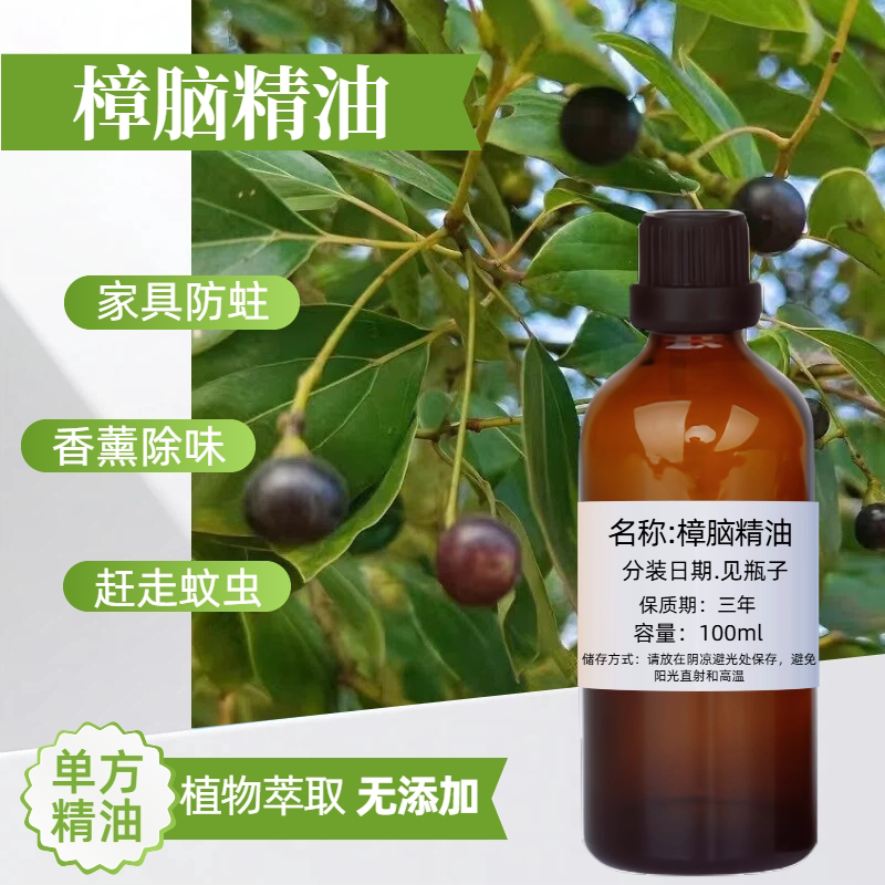 樟脑精油100ml 虫蚊蟑螂 樟脑树家具防护单方精油香薰扩香樟树