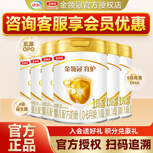 6罐 6个月婴幼儿配方牛奶粉一段900g 回 伊利金领冠育护1段奶粉0