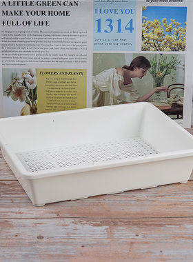 白色加厚多肉育苗盆带盖叶插播种器育苗盘小号托盘闷养花盆收纳框