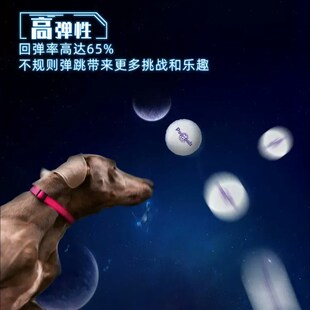 贵为爆爆球狗狗玩具巡回追逐互动玩具耐咬安全宠物户外神器宠物球