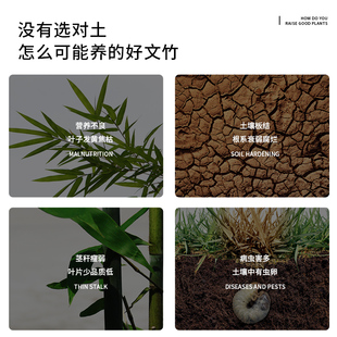 文竹专用营养土种花绿植土壤通用型家用盆栽种植土养花卉有机泥土