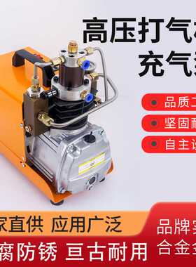 电动高压打气机30mpa 高压充气泵4500psi 220V/110V单缸水冷循环