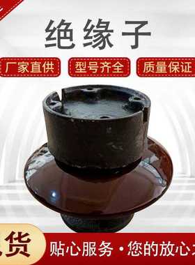 电站用针式支柱绝缘子电解铝厂用电解槽支撑绝缘子ZPD-10  ZPD-35